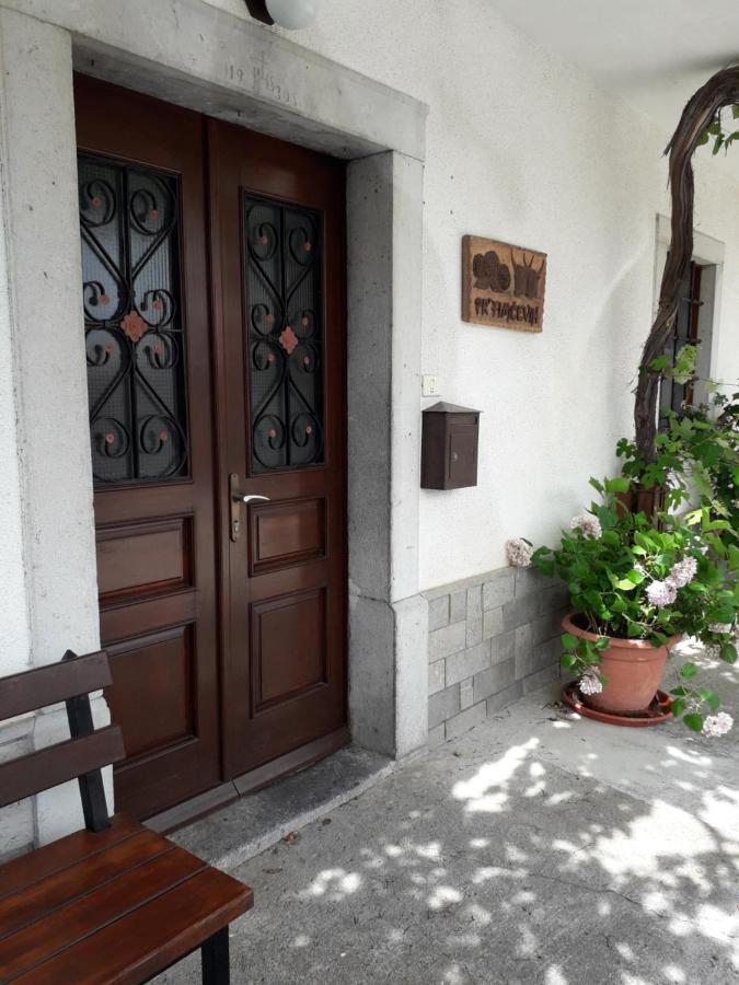 Vidin Raj Διαμέρισμα Vremski Britof Εξωτερικό φωτογραφία